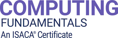 Logo Curso Computing Fundamentals Certificate Global Lynx